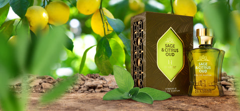 Sage and Citrus Oud fragrance box sitting in front of a lemon tree 